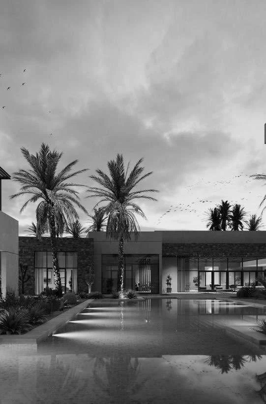 A tranquil pool and palm-lined terrace in monochrome